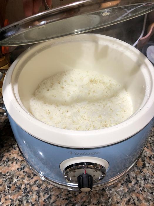  Ariete rice cooker 2904