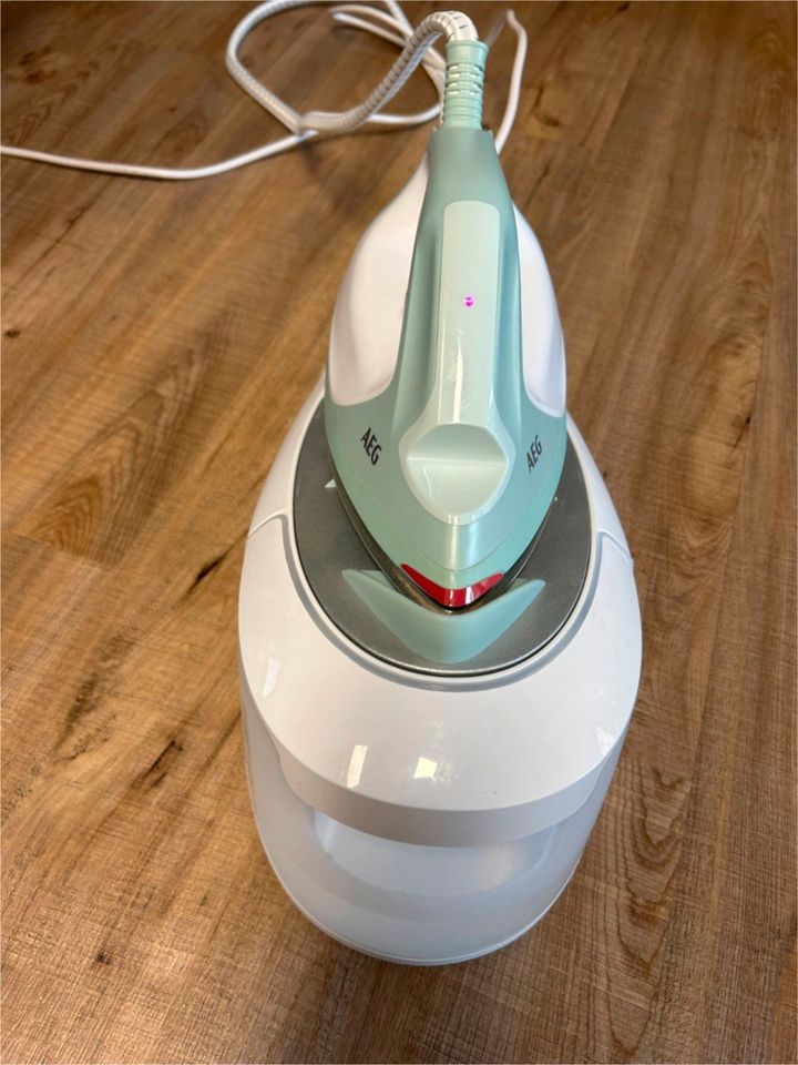  AEG steam iron st6