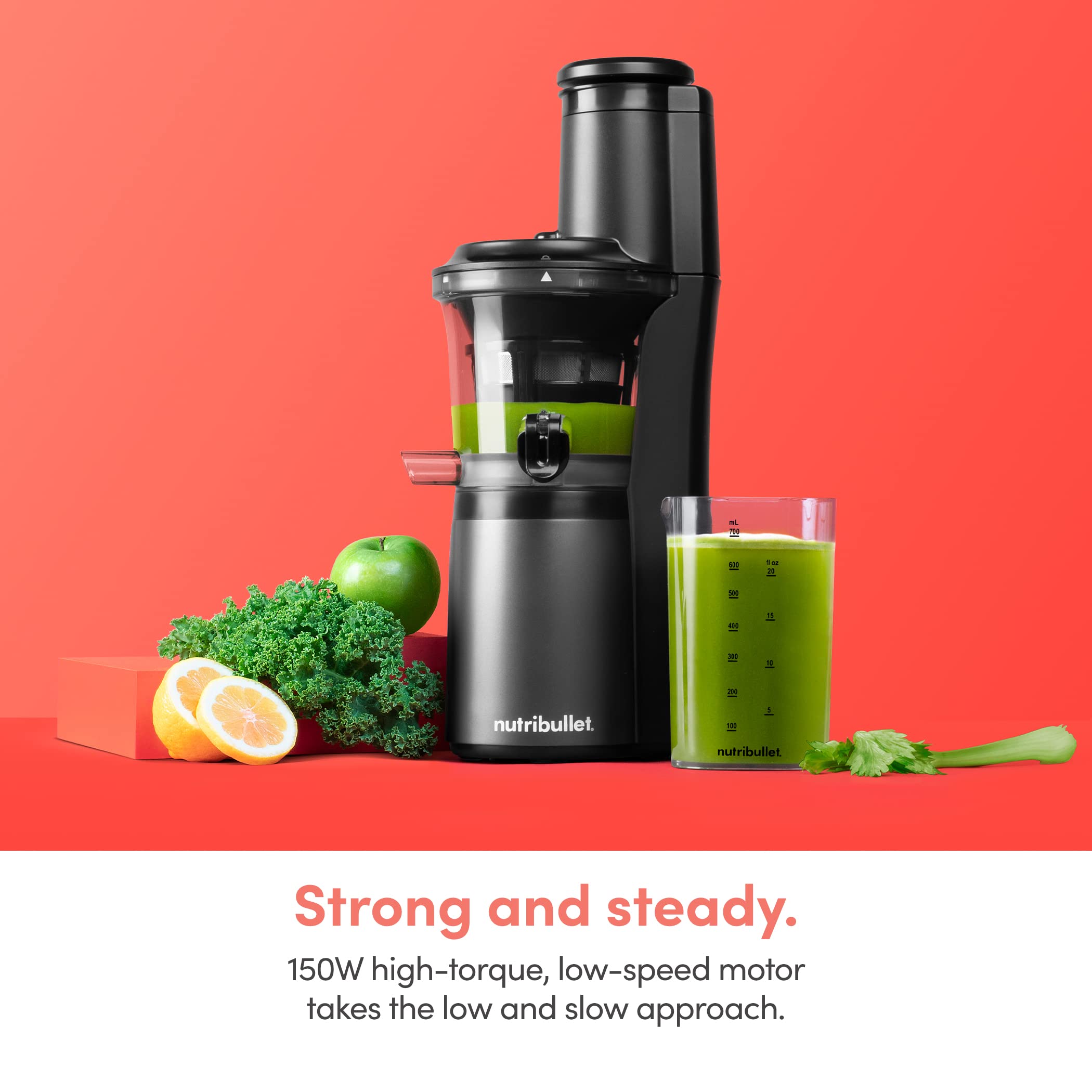  Nutribullet slow juicer nbj50300