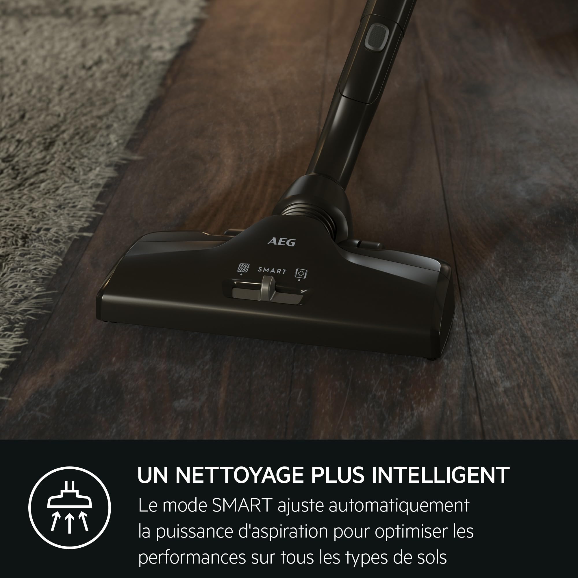  AEG vacuum cleaner vx82-1-alr