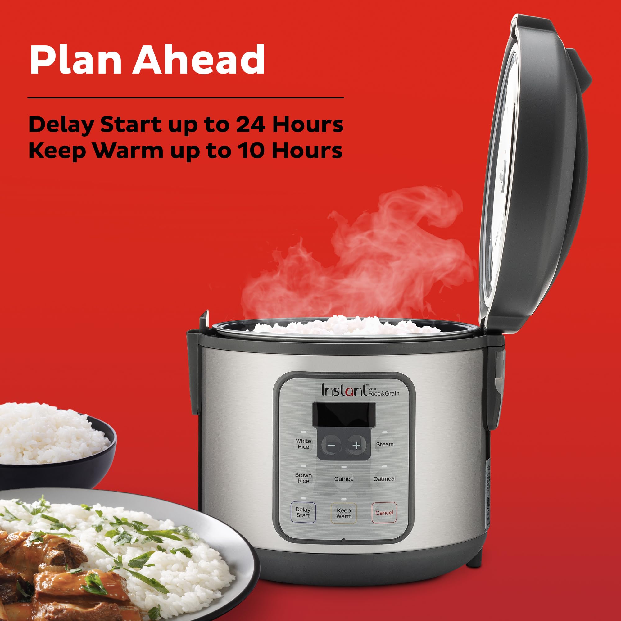  Instant pot rice cooker zest