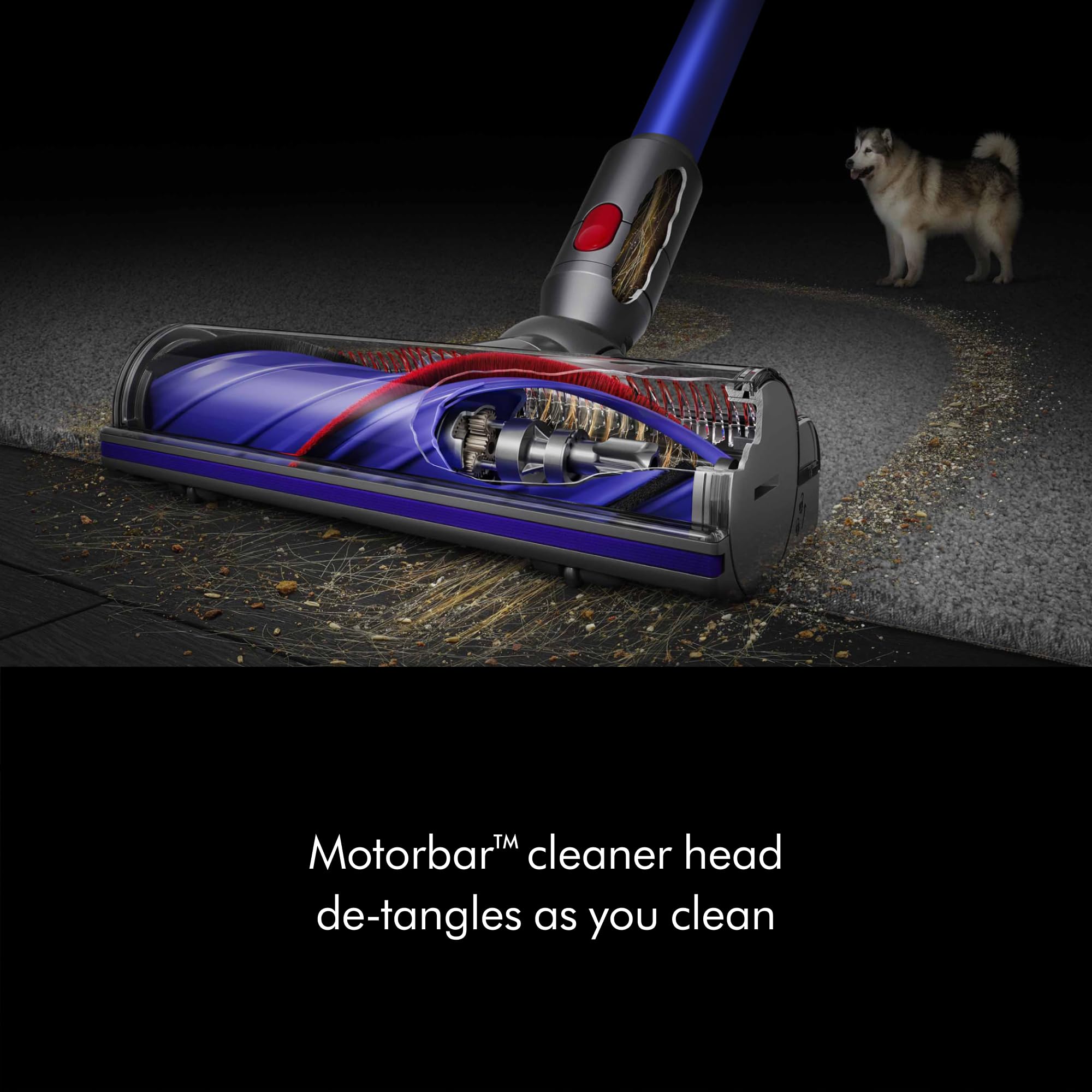  Dyson v11 advanced cordless vacuum
