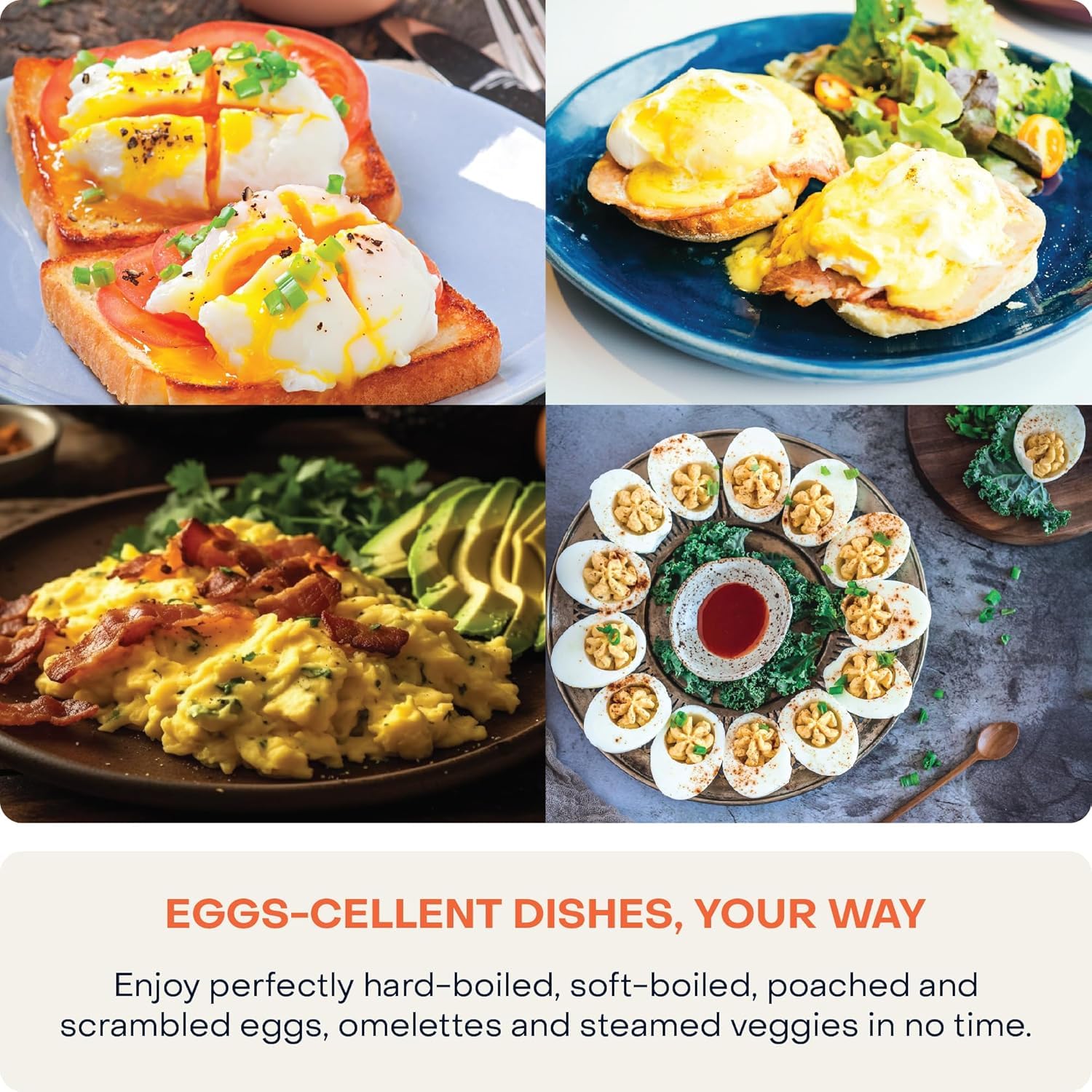  Nutricook egg cooker ec360